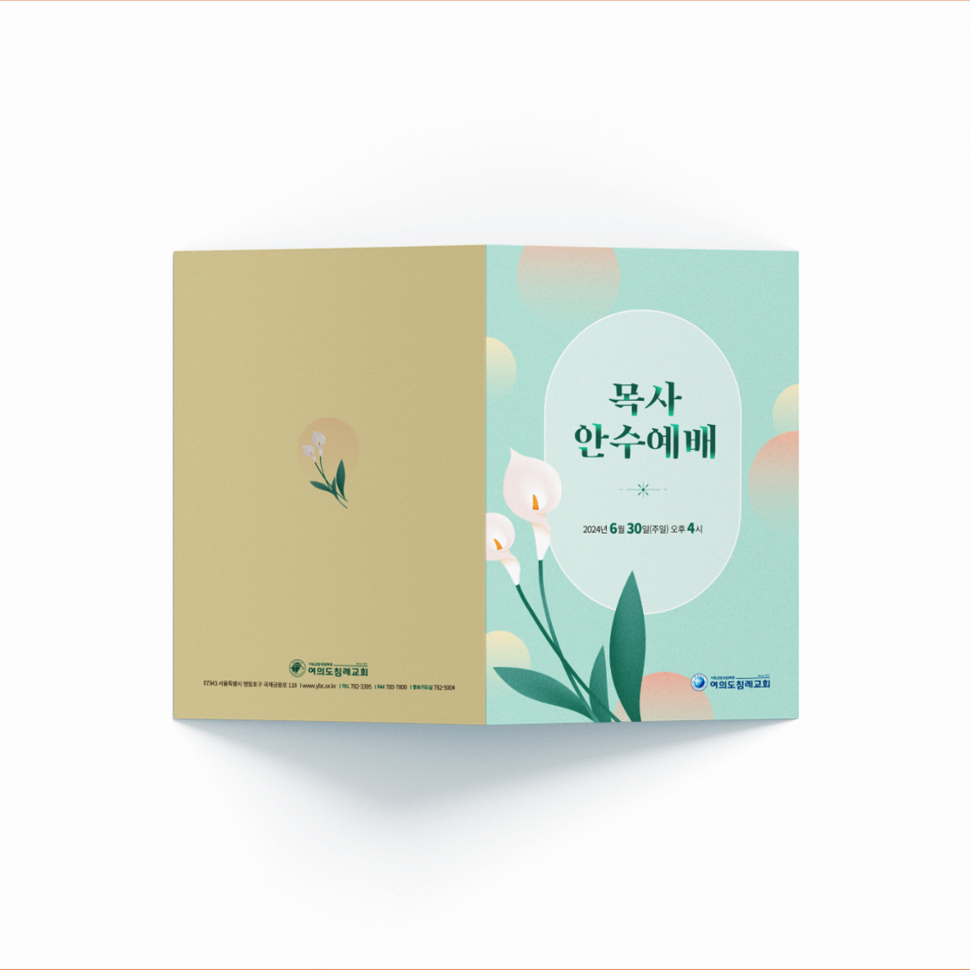 여의도침례교회 목사 안수예배 — 순서지 표지 (칼라 백합 + 민트 그라데이션)