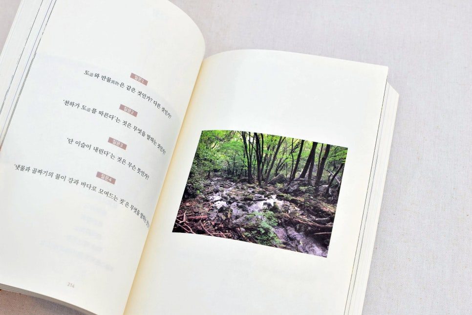 북디자인 타이포그래피 디테일 클로즈업