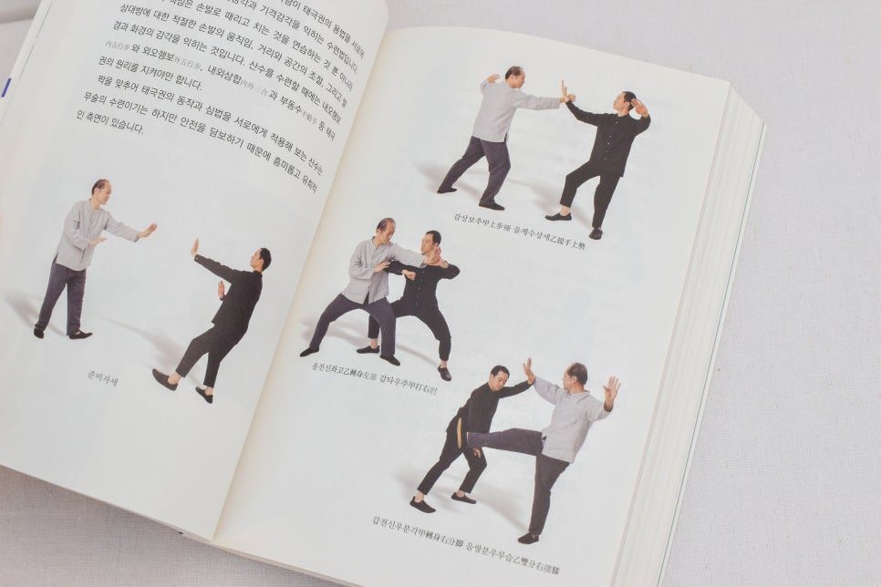 태극권 동작 사진 페이지 레이아웃