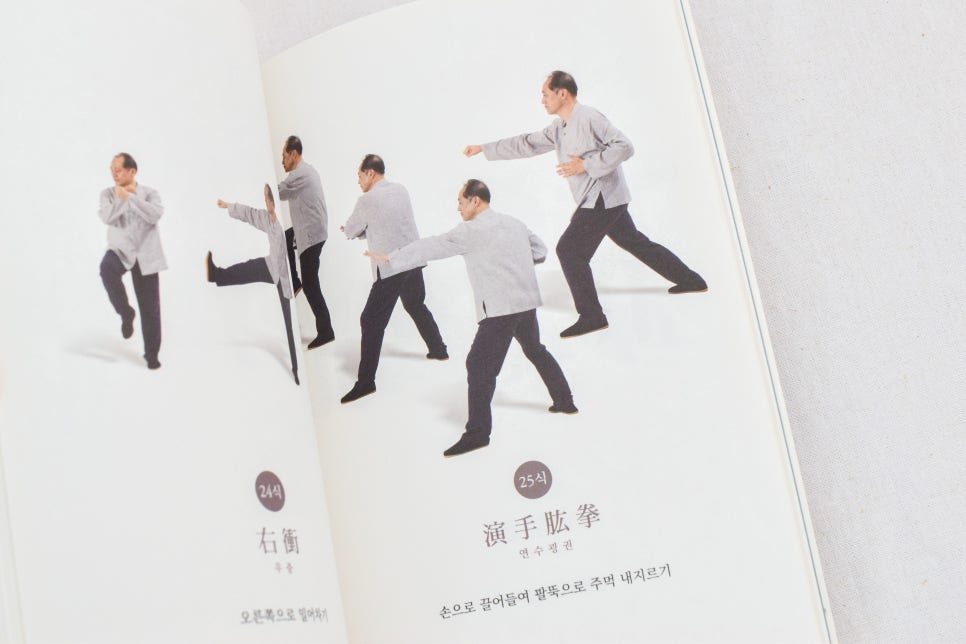 전통 진가 태극권 책 내지 완성본 전경