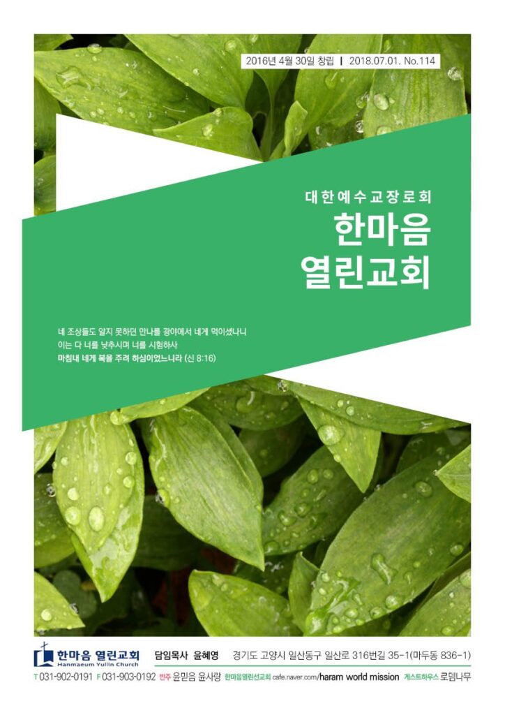 한마음열린교회 4계절 주보 — 봄 시리즈