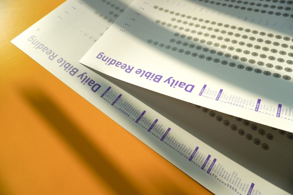 청년부 선물로 포장한 바이올렛 달력