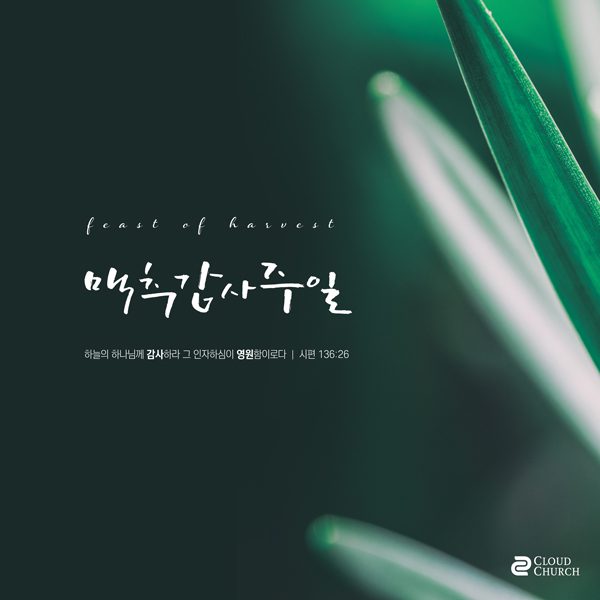 맥추감사주일 교회 포스터 디자인 00114