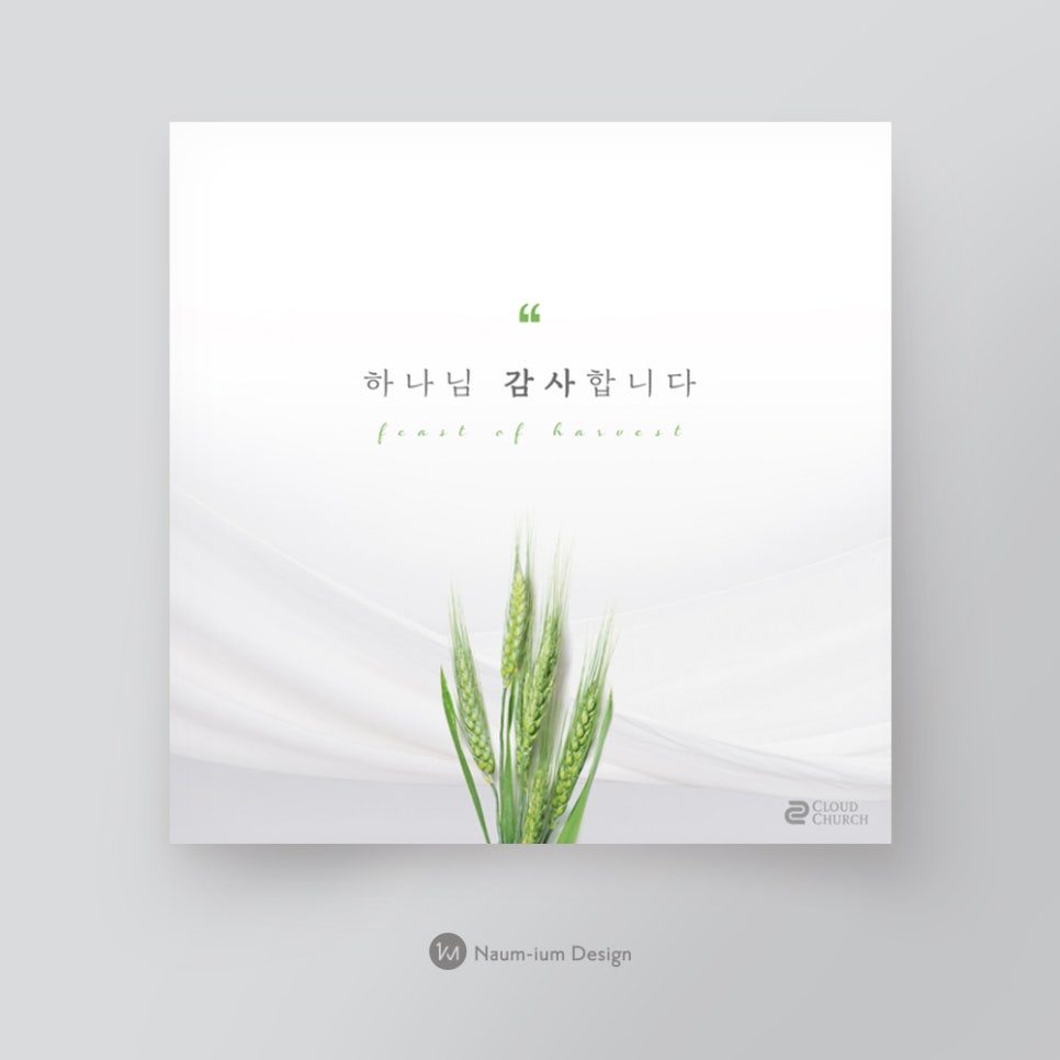 2018 교회 맥추감사절 흰배경 청보리 디자인 샘플