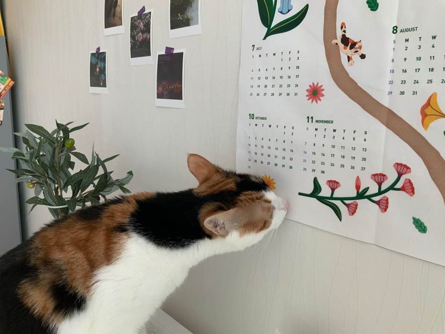 지관통에 담긴 꽃길을달력 패키지 컷