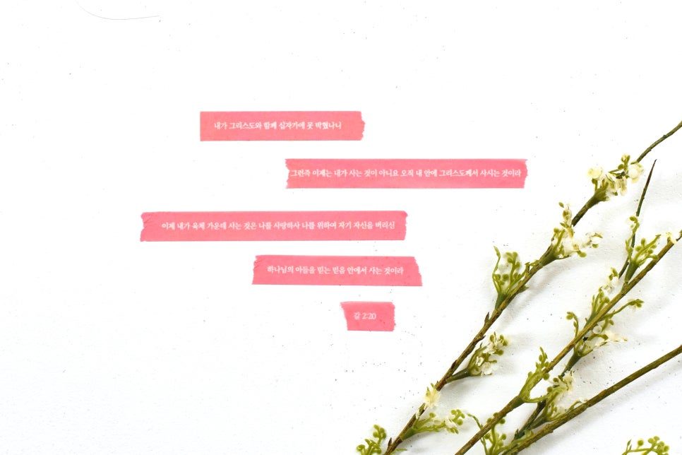 72구절 말씀암송 마스킹테이프 6종 세트