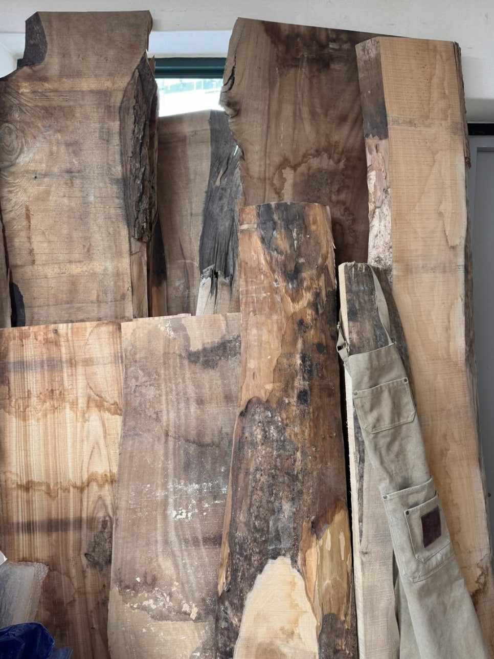 1년 기다려 도착한 캄포목재 원목
