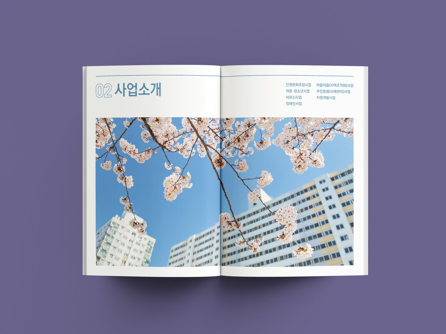 내지 펼침 — 벚꽃 사진과 사업소개 챕터 구성.